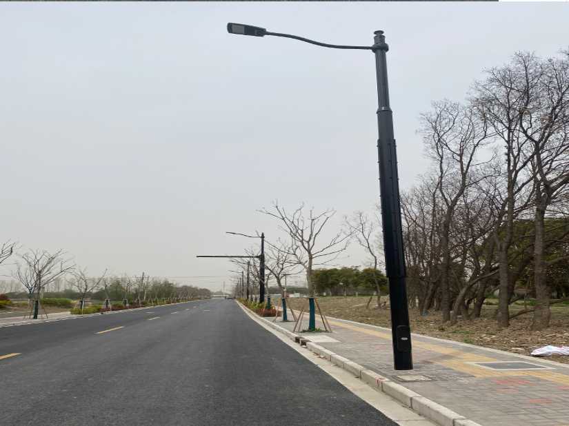临城县上海综合杆 太阳能路灯工程